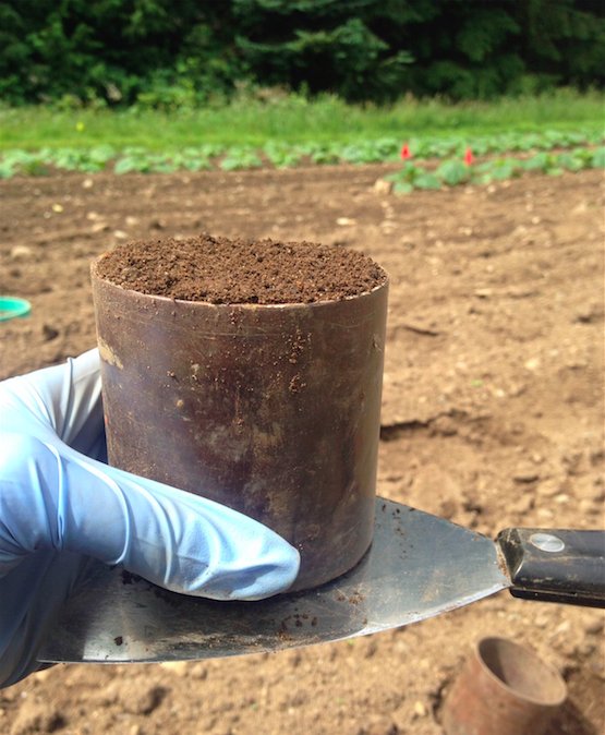 Određivanje zapreminske težine tla, vlažnosti i poroznosti
