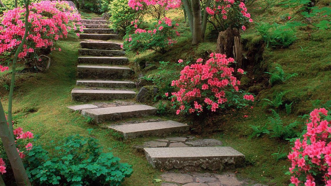 oblikovanje površine zemljišta