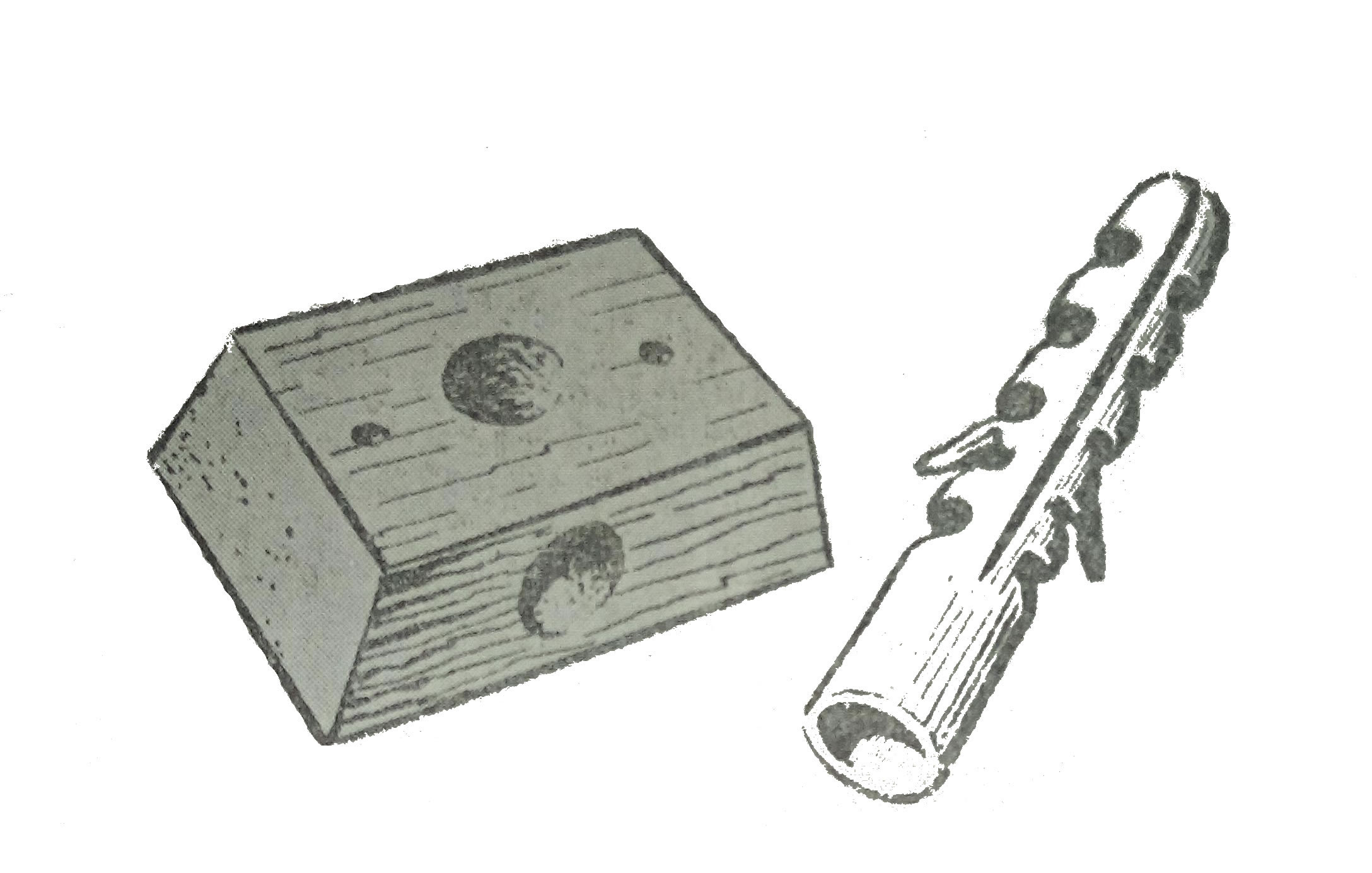 dowel udseende