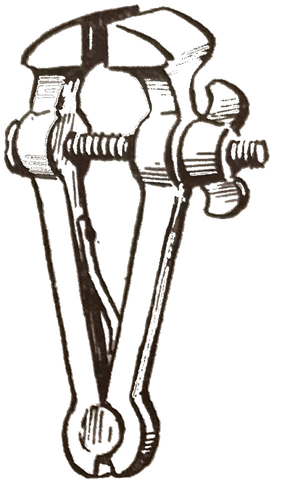 pinza